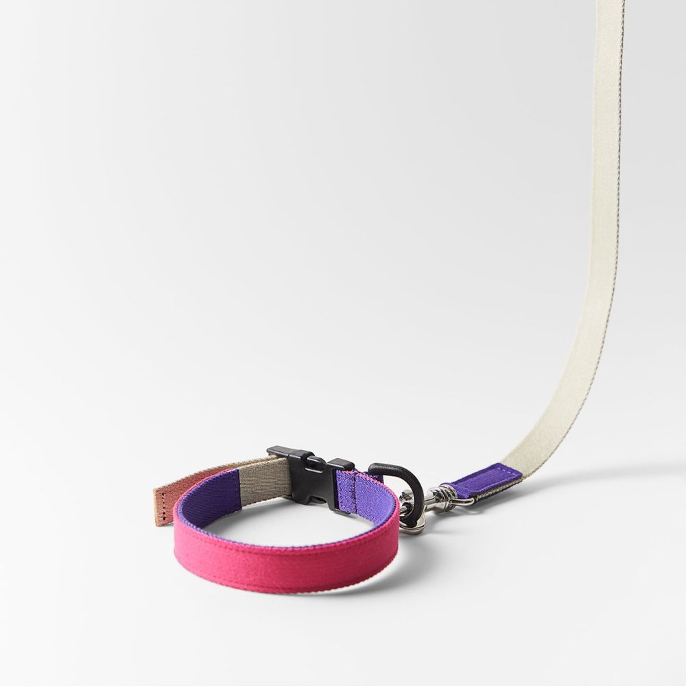ZARA COLORFUL LEASH PET COLLECTION - Picture 5 of 5
